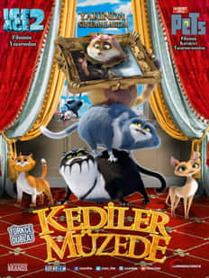 Kediler Müzede izle