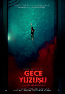 Gece Yüzüşü izle